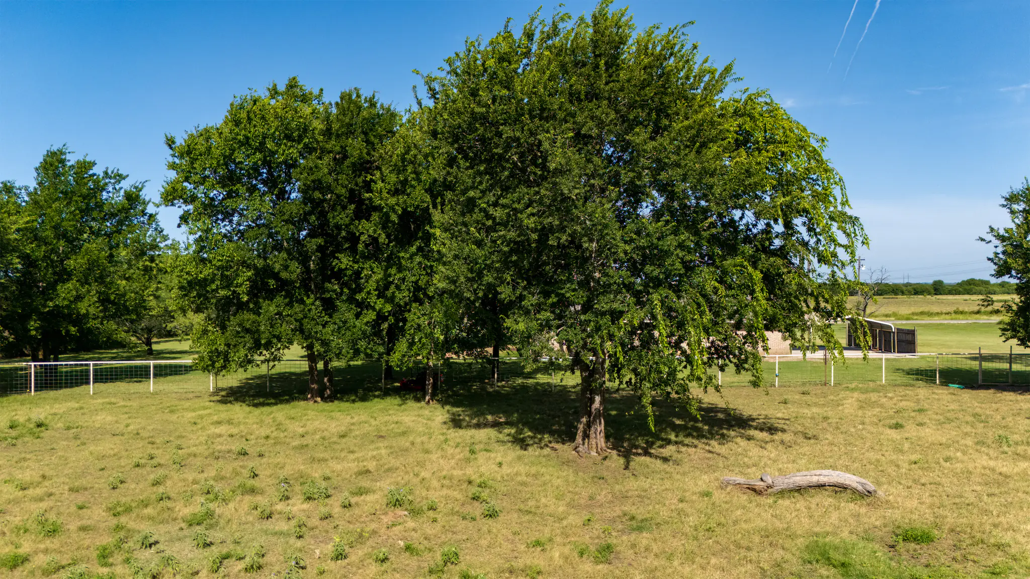 Photo 53 of 63