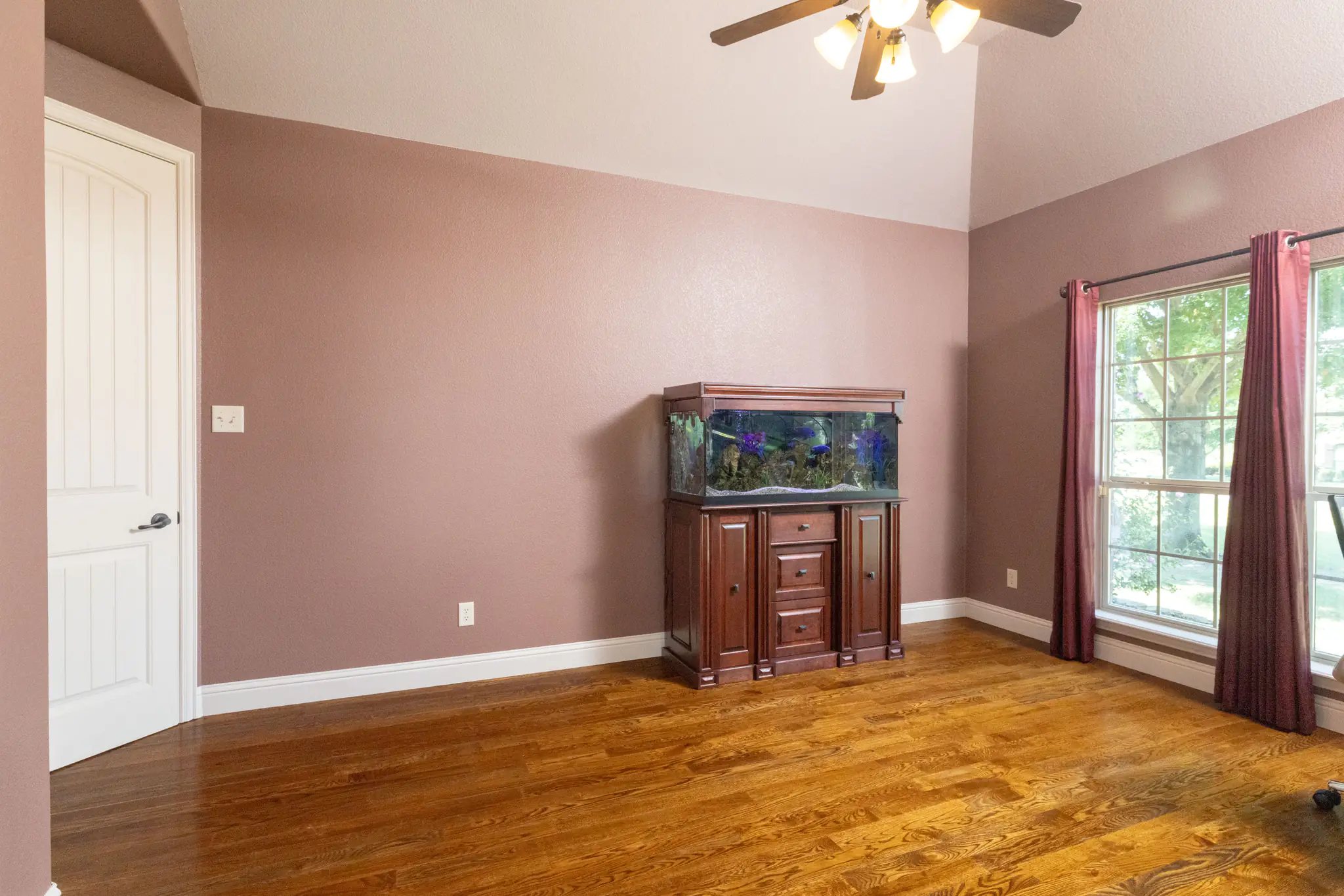 Photo 11 of 48