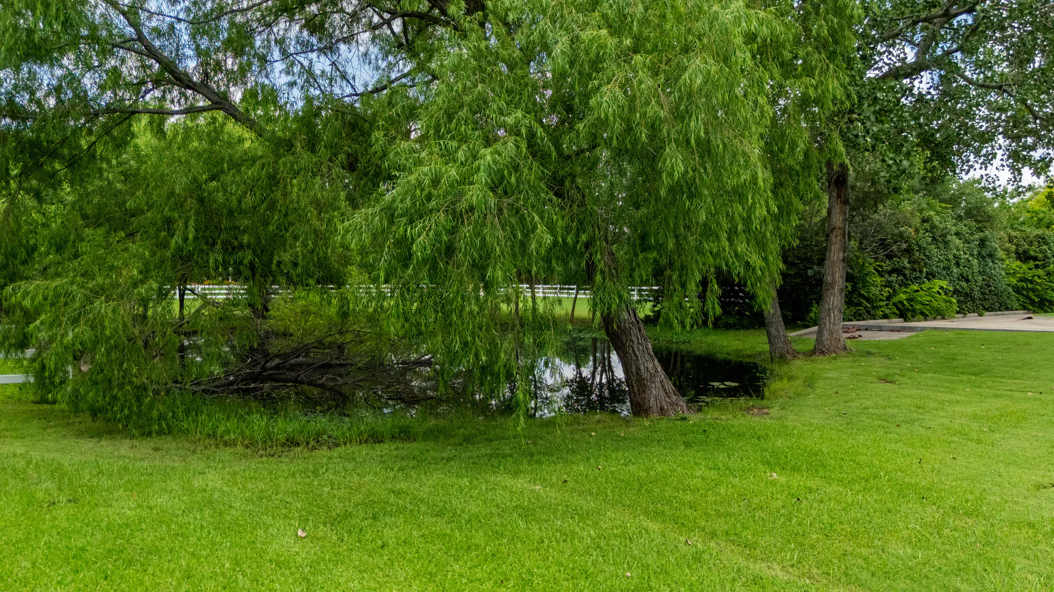 Photo 56 of 61